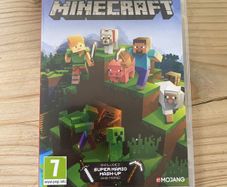 Switch Minecraft