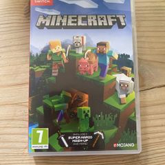 Switch Minecraft
