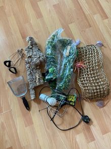 reptile accessories