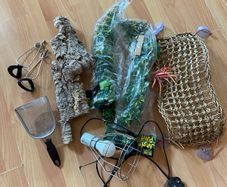 reptile accessories