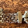 9ct bismark bracelet Image 3