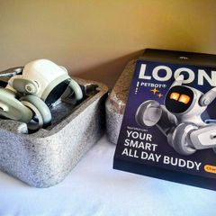 Loona Robot Pet