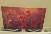 Picture of poppies canvas