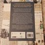 The President's Letters: An Unexpected History Of Ireland by Flor MacCarthy Image 3