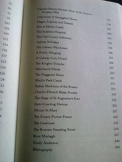 Hidden Galway Gallows Garrisons and Guttersnipes Local history