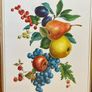 Vintage Pimpernel England Cork Backed Table Mats Fruit Medley 1970s Image 5