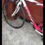 K-lite Elite Bike Image 4