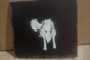 Kveikur by Sigur Ros (CD, 2013)
