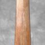 Swordfish tusk. Image 5