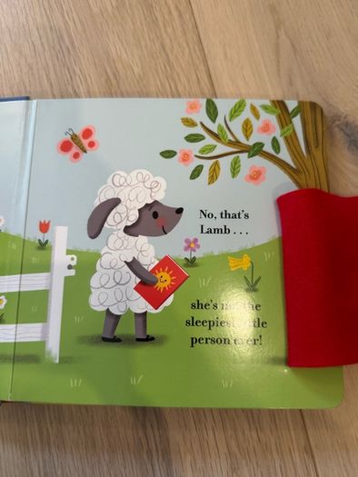 Who's sleepy by Camilla Reid - lift the flap and mirror