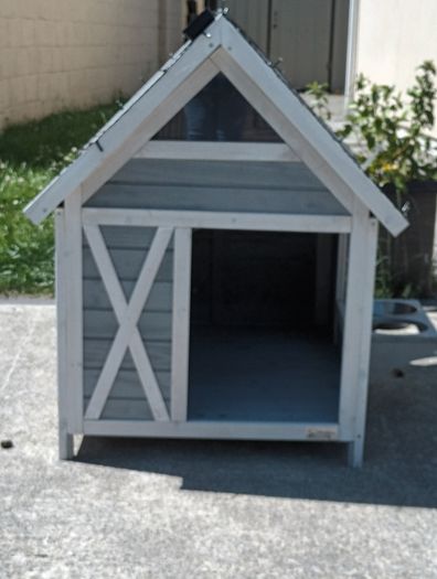 Dog house