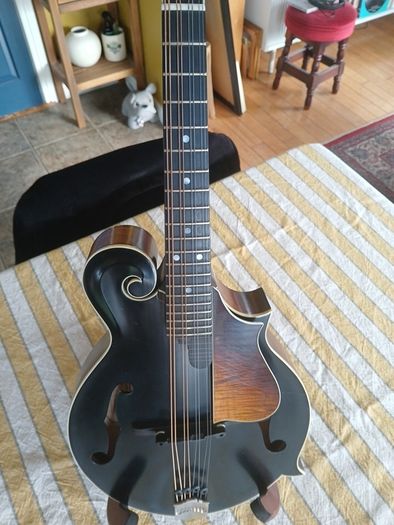 Coostar F5 Mandolin