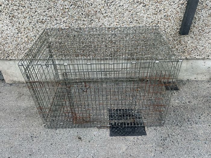 Extra large dog cage