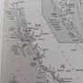 The Golden Spruce/ John Vaillant Image 4