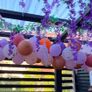 free party balloons, accessories Image 5