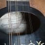 Mandolin Image 4