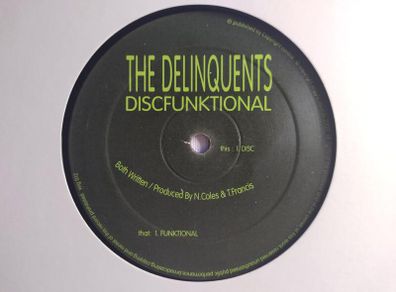 The Delinquents - Discfunktional - Wiggle Records - RARE Early 00s Tech House CLASSIC!