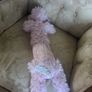 Poodle soft toy Image 3
