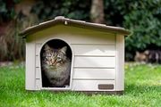 Outdoor Cat, Dog and Rabbit House, Pet Kennel and Shelter - Brown