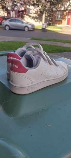 trainers