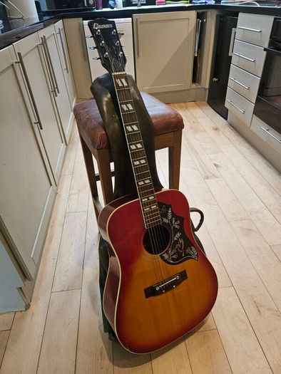 1970s Columbus model 197 (gibson hummingbird lawsuit copy)