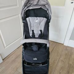 Joie Travel Buggy
