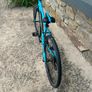 Frog Bike 69 Image 4
