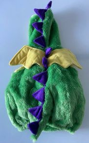Dragon Halloween Costume (6-9 months)