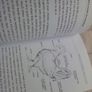 Book: Beginners Guide to Chickens Image 5