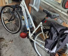 Ladie Bike