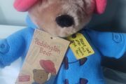 Paddington teddy