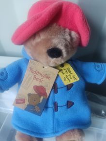Paddington teddy