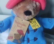Paddington teddy