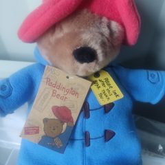 Paddington teddy