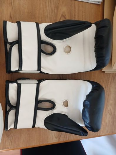 Sparring Gloves & Pads