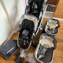 uppababy double pram / buggy and travel cot Image 6
