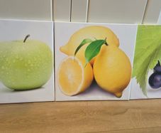 set of 3 canvas pictures