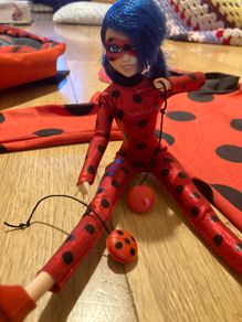 Miraculous Ladybug Cat Noir