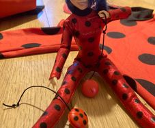 Miraculous Ladybug Cat Noir