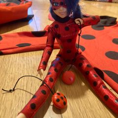 Miraculous Ladybug Cat Noir