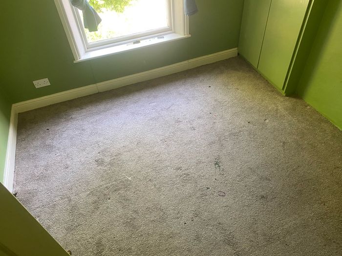 2 bedroom carpets