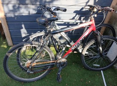 mountain bike