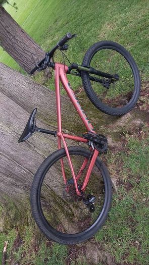 Orbea onna
