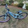 Giant 24" Girls Bike Image 2