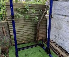 Weights