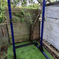Weights