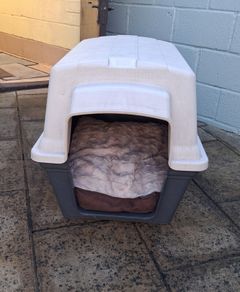 Dog Kennel