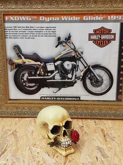 Harley Davidson