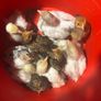 Bantam chicks Image 2