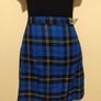 Blue Check Skirt, New With Tags Image 3